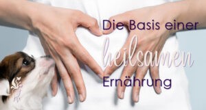 Basiswissen über vernünftige Ernährung und Therapie von Mensch und Tier