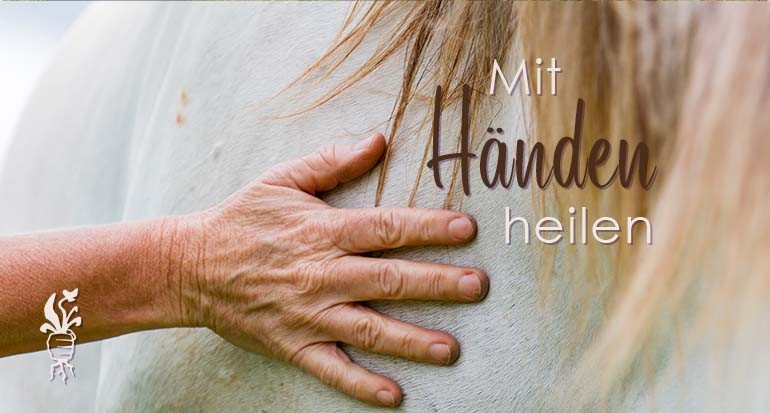 Handauflegen - Heilen mit HändenMenschen und Tieren