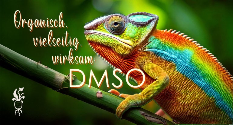 DMSO für Gesundheit