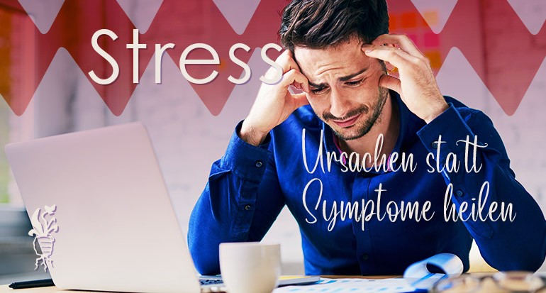 Ursachen von Stress beheben, um gesund zu werden