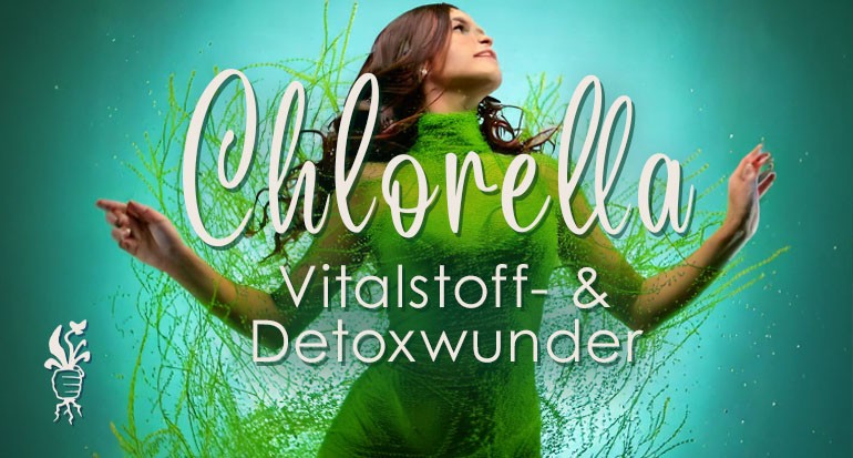 Entgiftung mit Chlorella