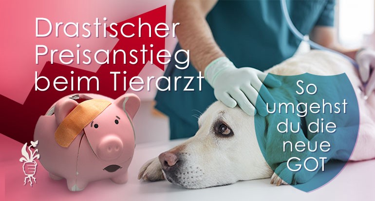 Tierarztkosten steigen drastisch – so kannst du die neue GOT umgehen
