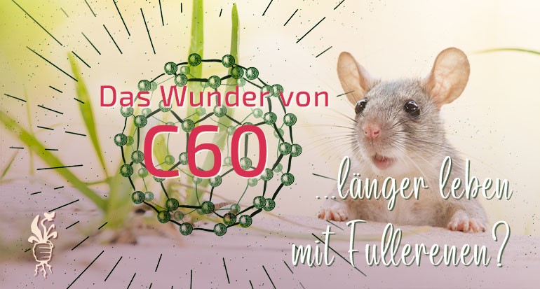 Das Wunder von C60: Wie Fullerene die Lebensdauer von Ratten fast verdoppelten