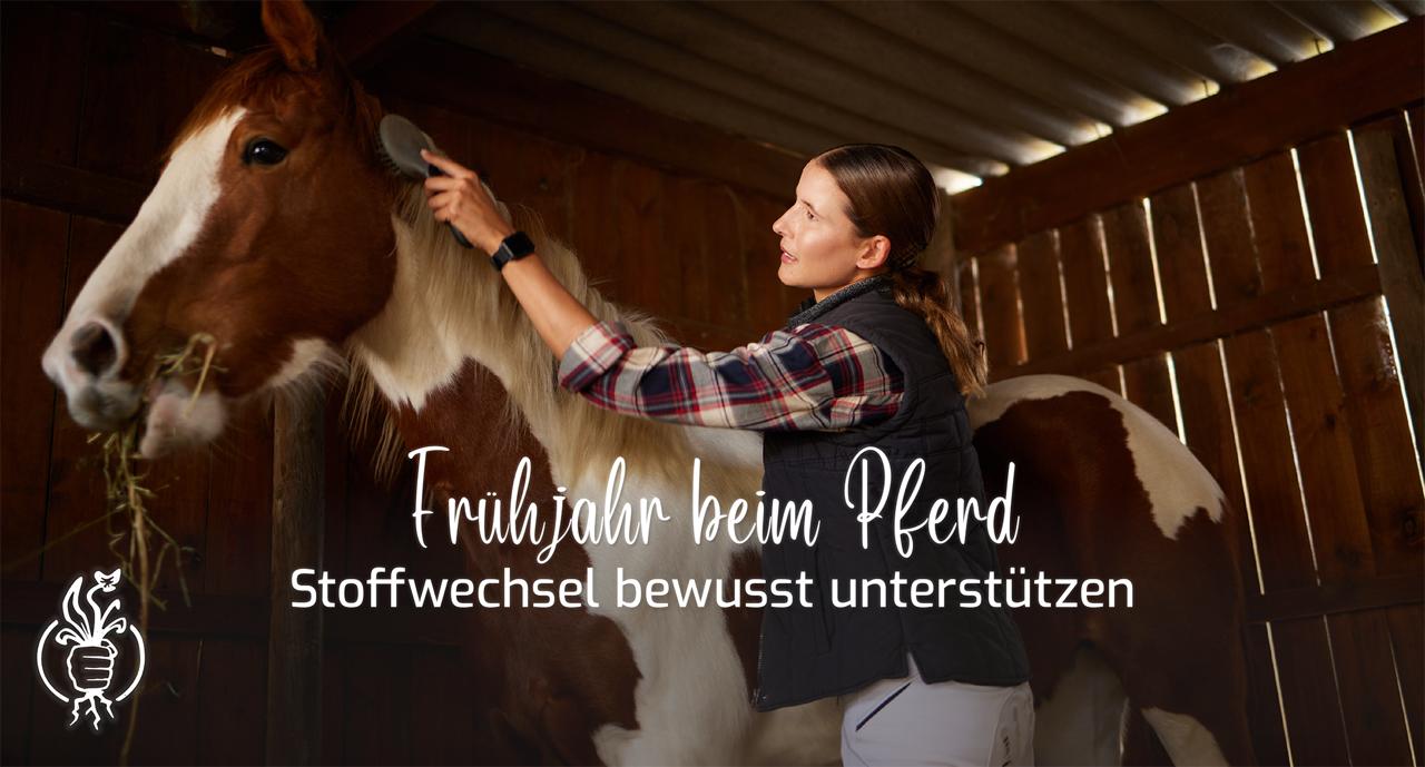 Frühjahr beim Pferd: Stoffwechsel bewusst unterstützen