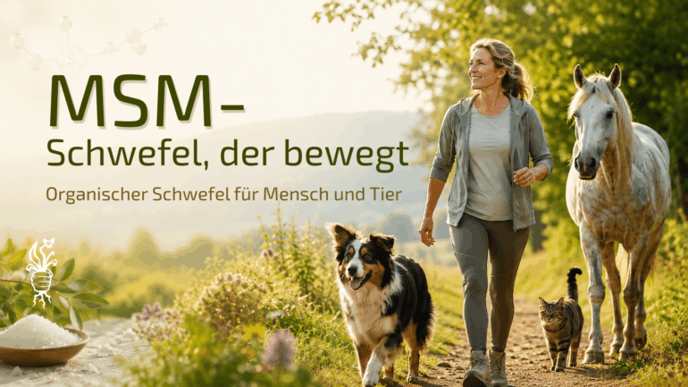 MSM – Schwefel für Mensch und Tier