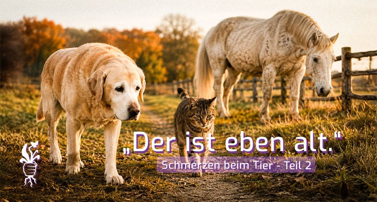 Der ist eben alt