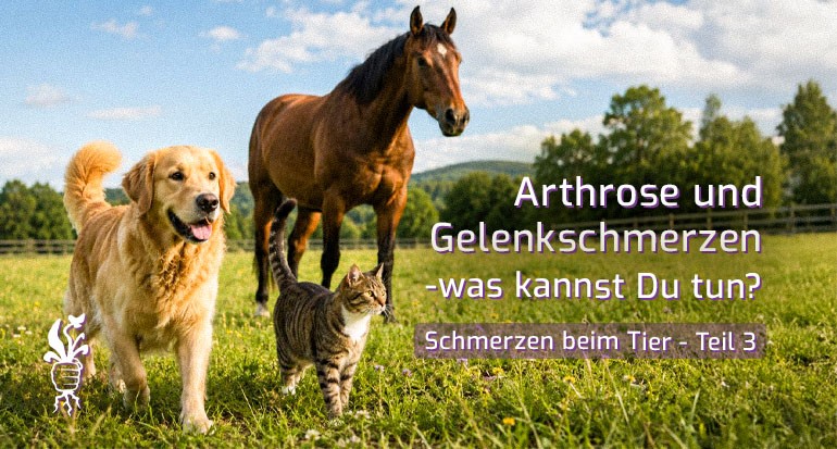 Endlich schmerzfrei – auf natürliche Art