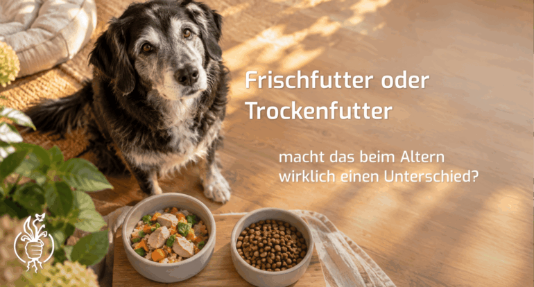 Wie Futter das Altern beeinflusst