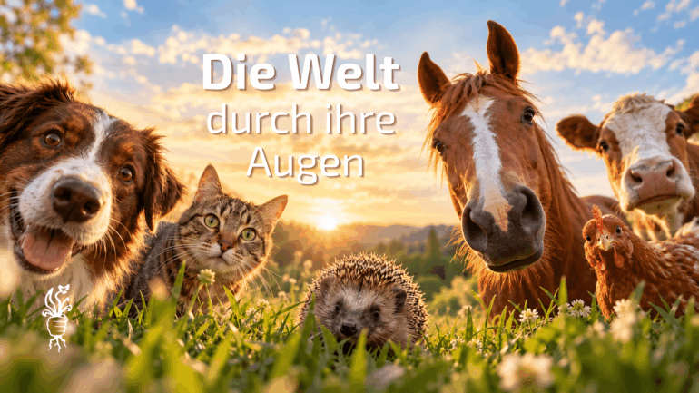 Durch ihre Augen