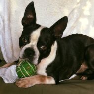 Christine Magerkurth